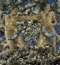 Girls in the Trees - Limited Edition Photographic Art by Christopher Strong